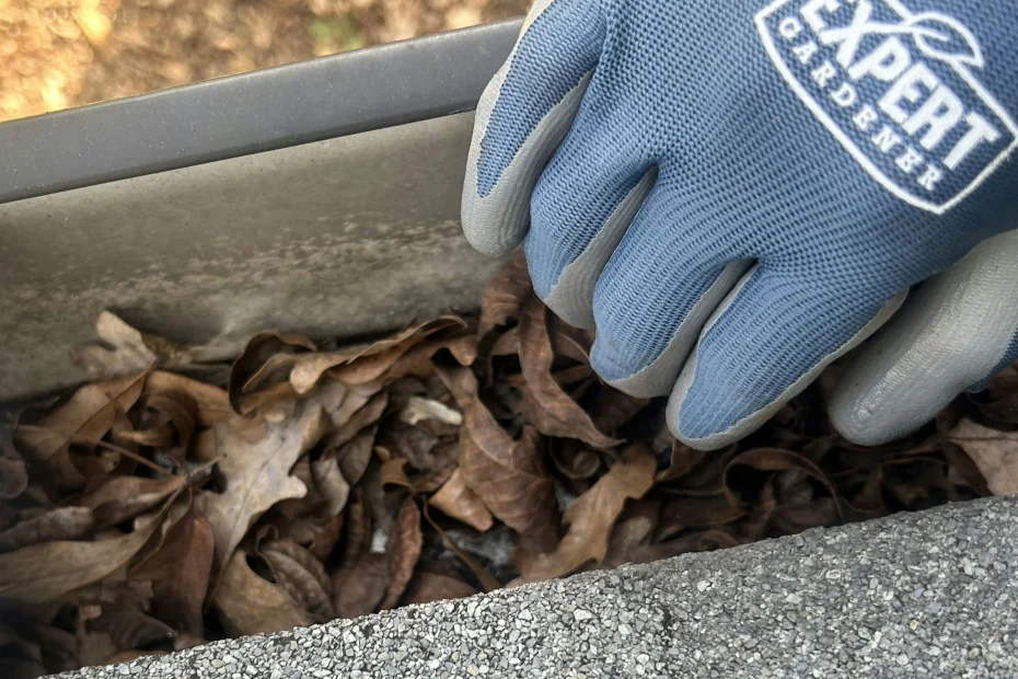 Gutter Cleaning Windcrest TX