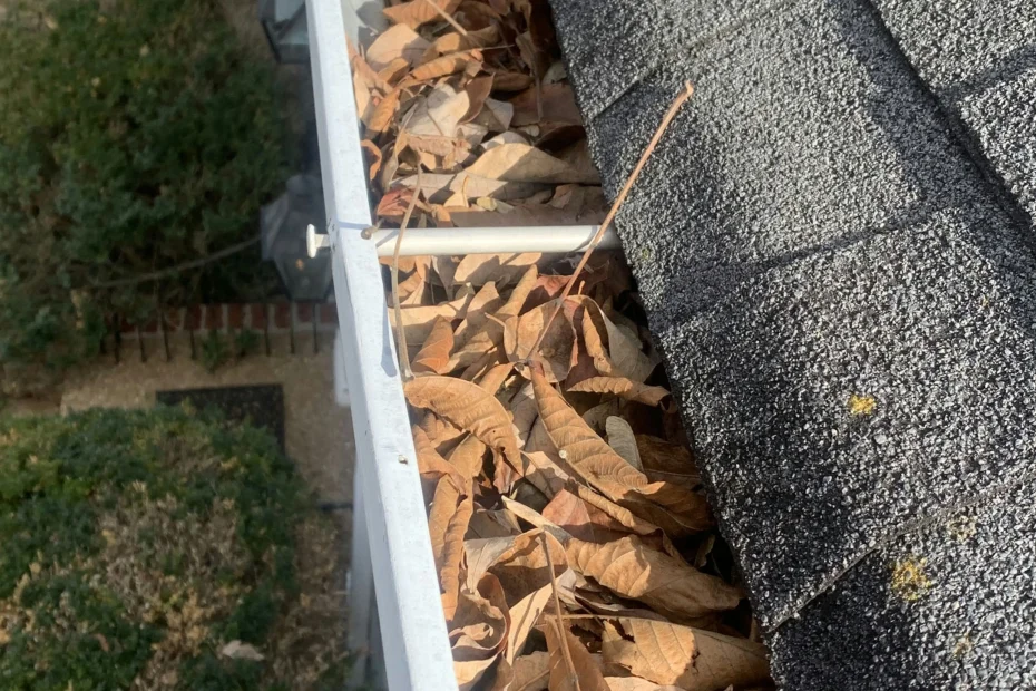 Gutter Cleaning Windcrest TX