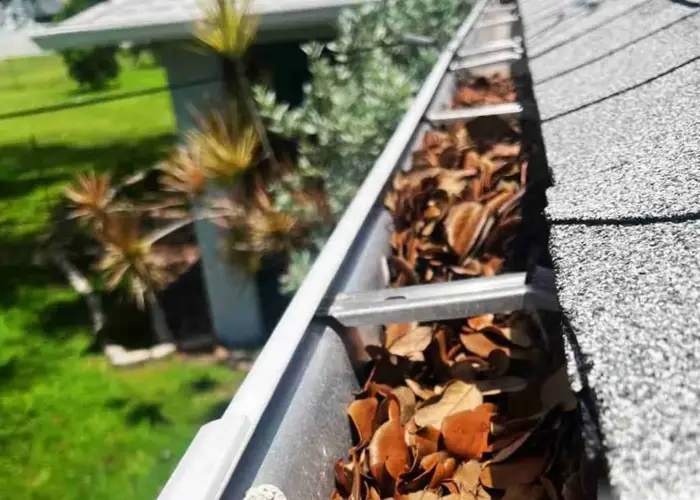 Gutter Cleaning Windcrest TX home page